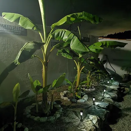 Casa Picamilho Porto de Mós