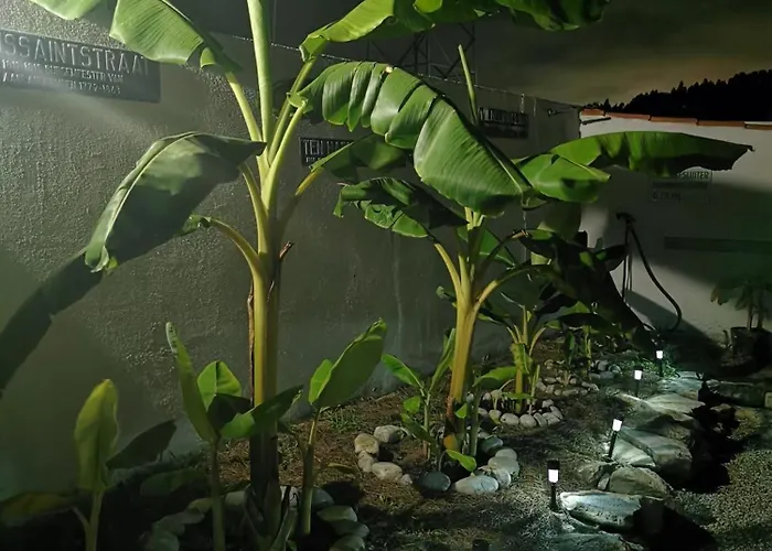 Casa Picamilho Porto de Mós